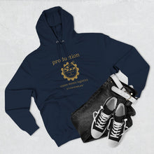 Load image into Gallery viewer, Production Three-Panel Fleece Hoodie

